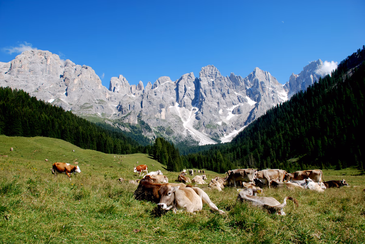 Foto: Wikipedia (it) Val Venegia